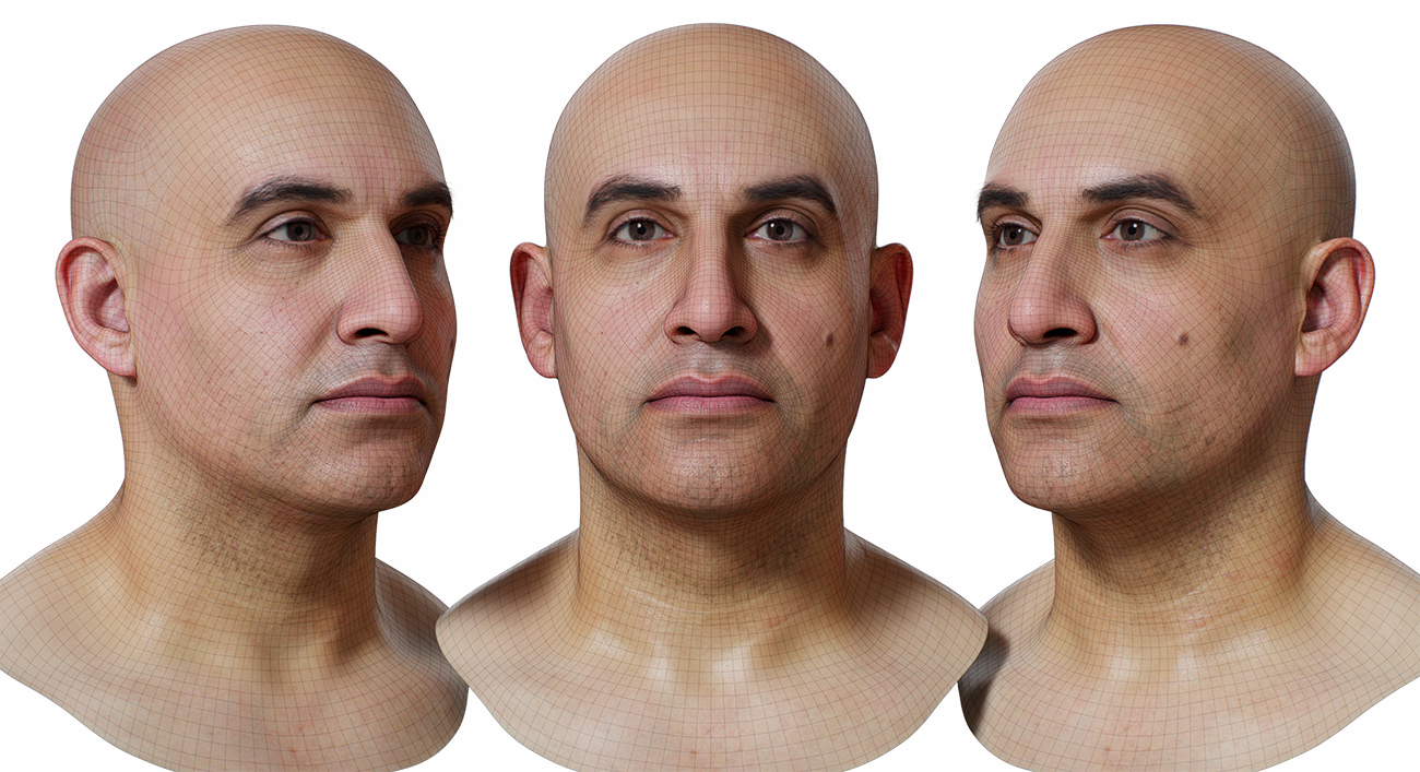 Download 3d head model with realistic skin